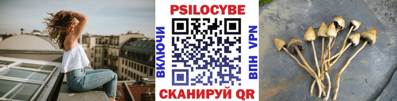 Псилоцибиновые грибы прущие грибы  Купить  Кудрово 